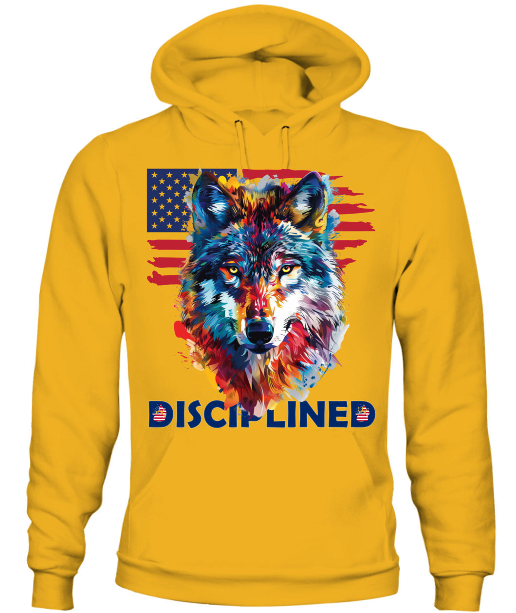Disciplined Wolf American Flag Hoodie