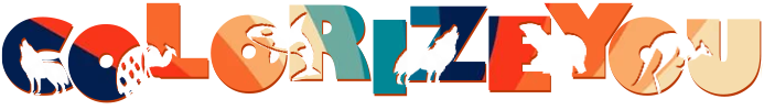 Colorizeyou Store
